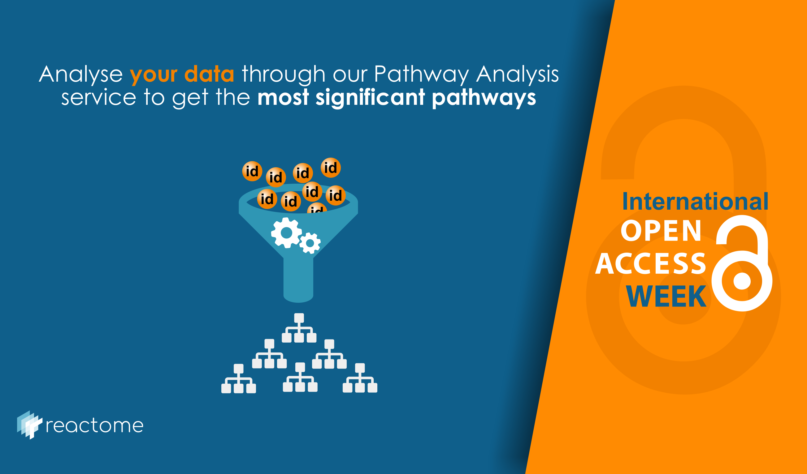 International Open Access week (Analysis Tools)