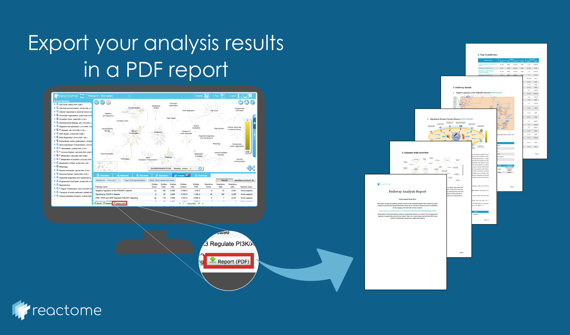 Analysis Report PDF