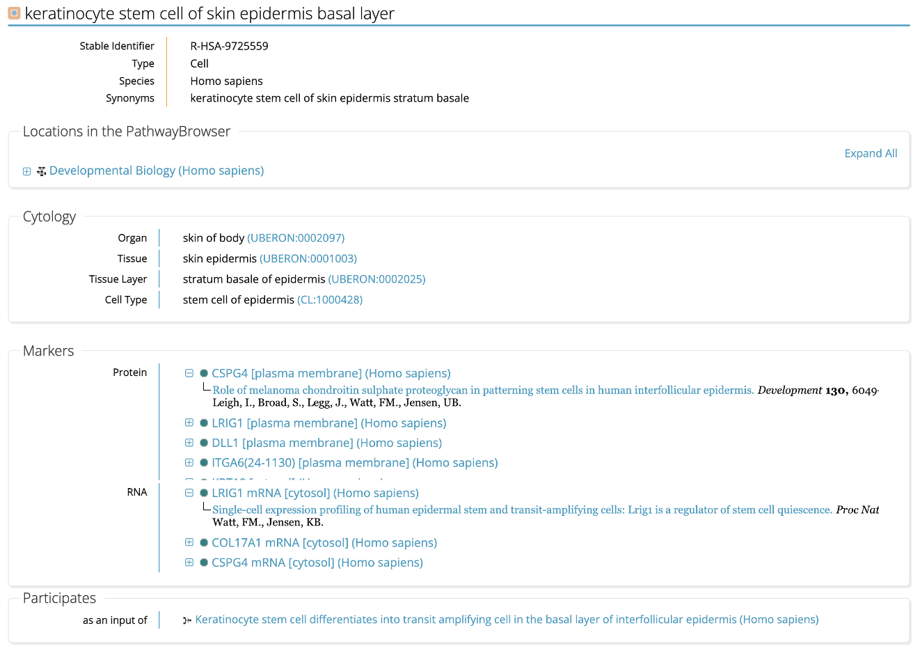 Figure 3A. Details page for Cell