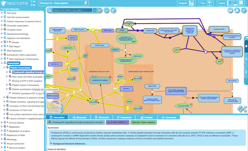 subpathway selection