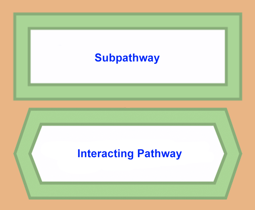 subpathways interacting
