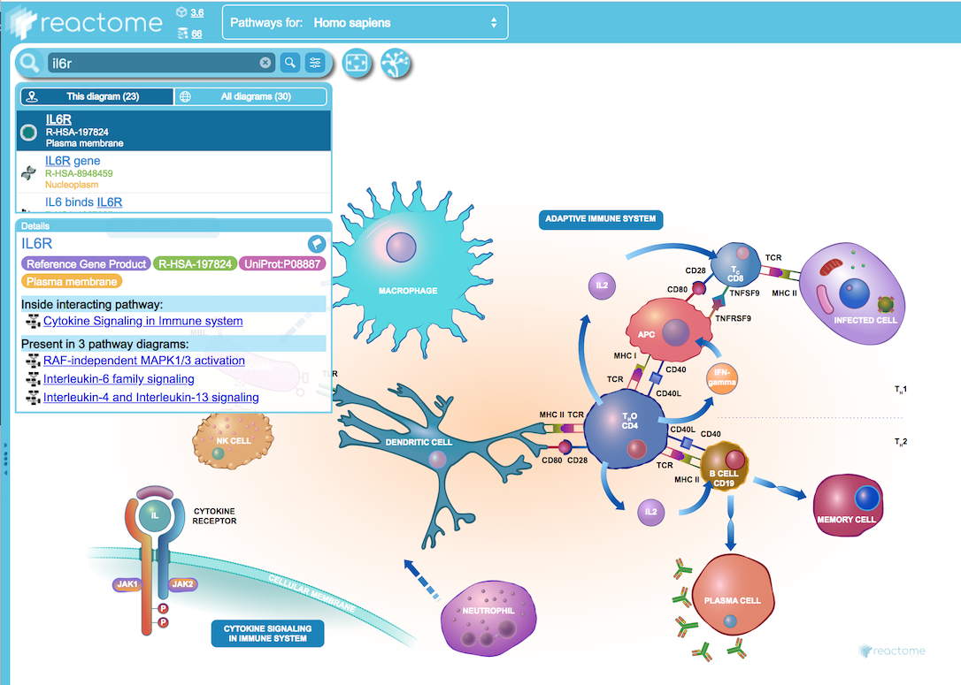 EHLD Search Results Detailed