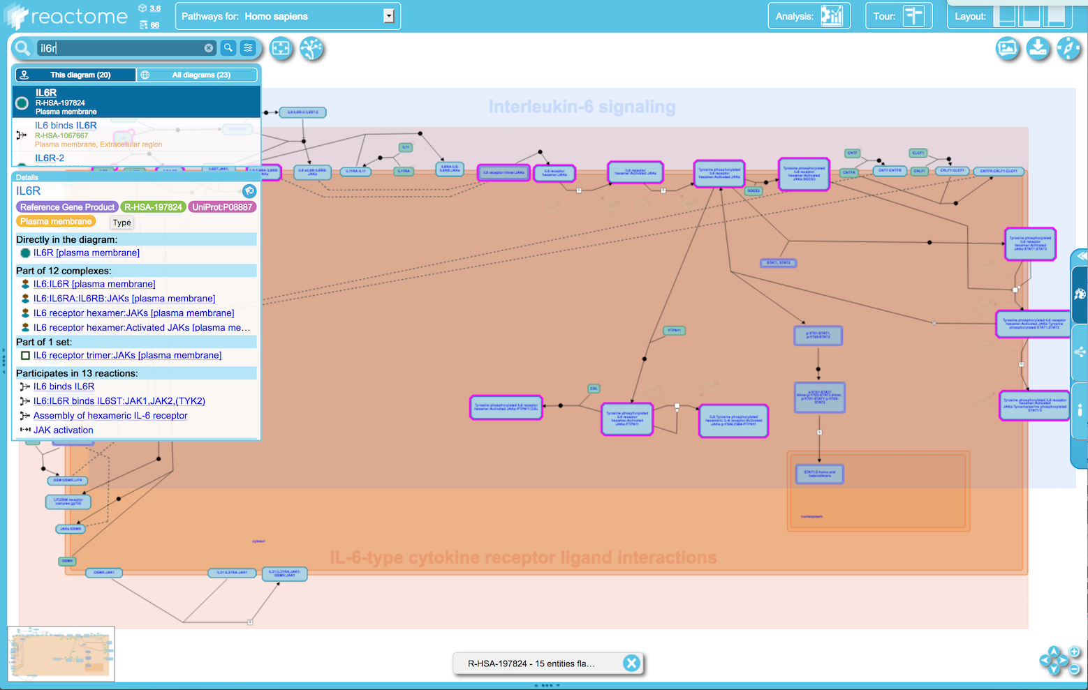 In Diagram Search Entity This Diagram