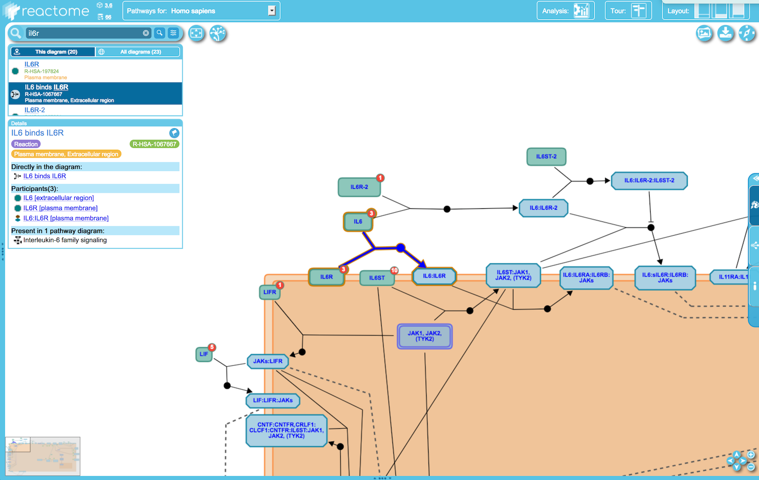 In Diagram Search Event This Diagram