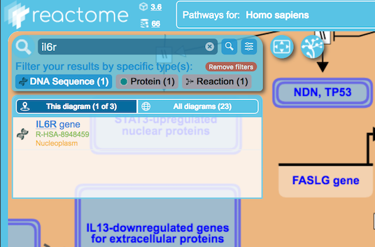 In Diagram Search Filter