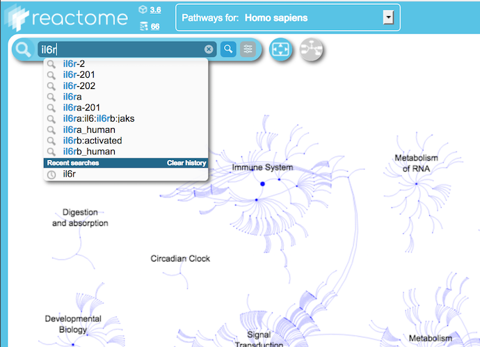 Overview Search History