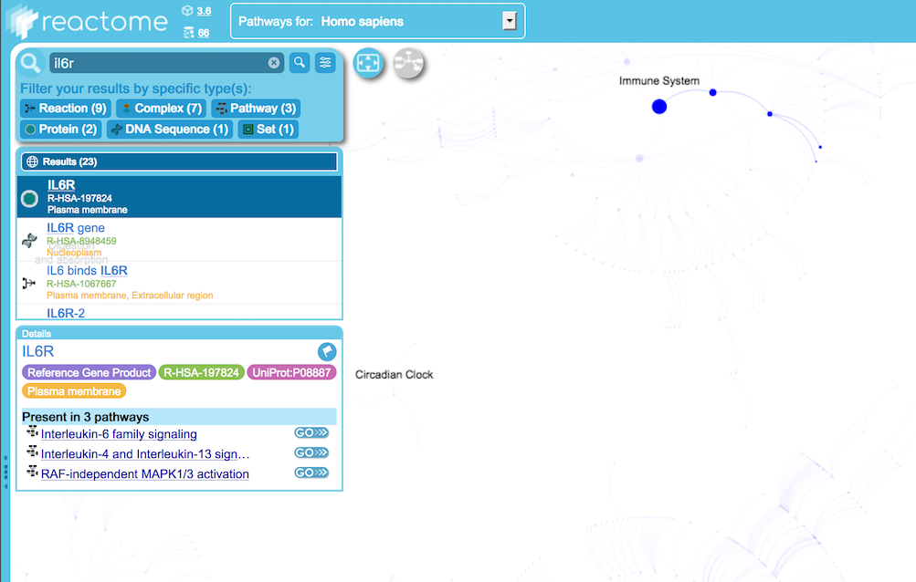 Overview Search Results Detailed