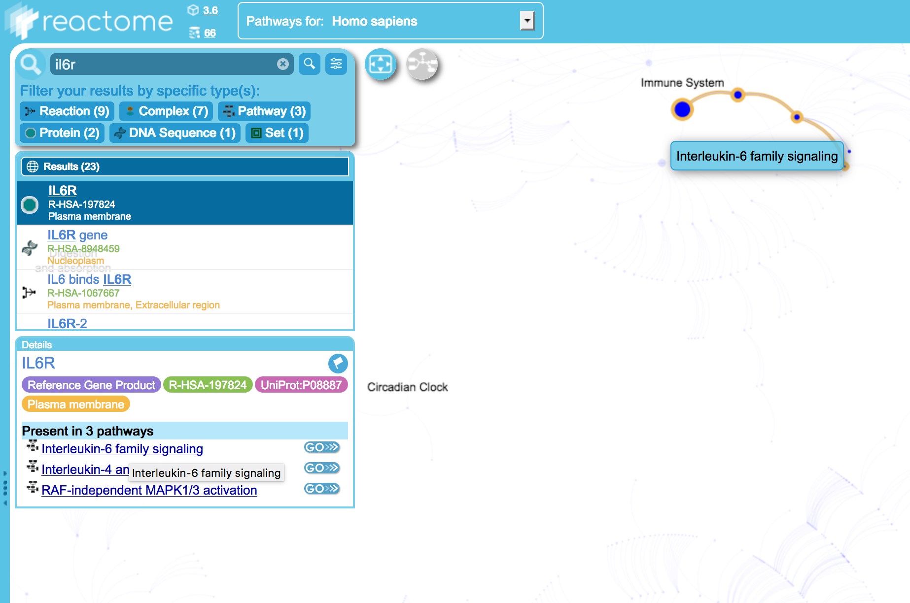 Overview Search Results Selected