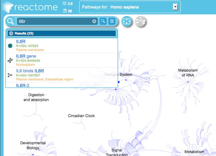 Overview Search Results Summary