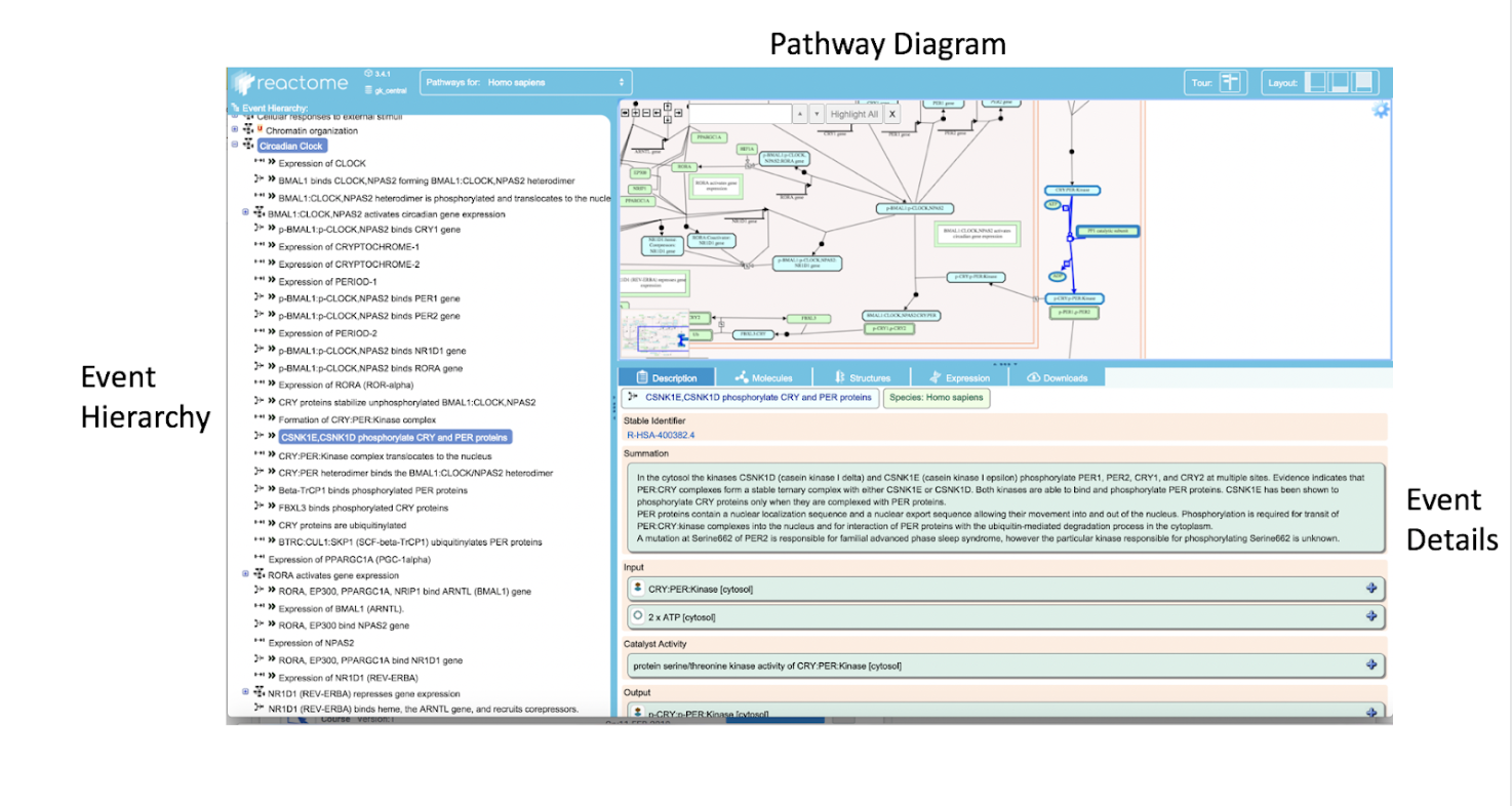 Pathway Browser