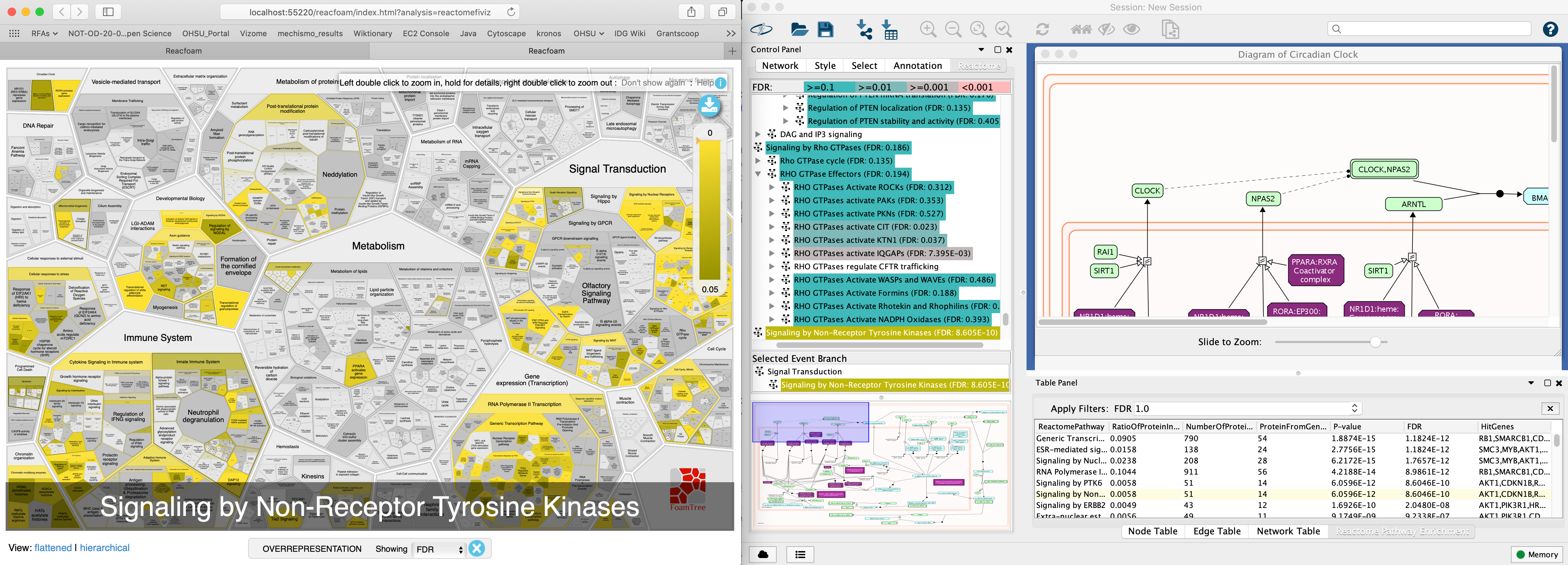 Reacfoam View for Enrichment Analysis